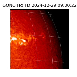 gong - 2024-12-29T09:00:22