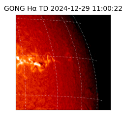 gong - 2024-12-29T11:00:22