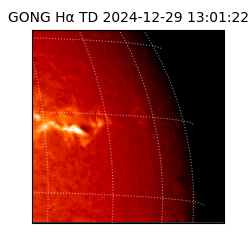 gong - 2024-12-29T13:01:22