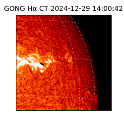 gong - 2024-12-29T14:00:42