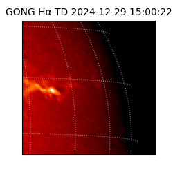 gong - 2024-12-29T15:00:22
