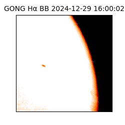 gong - 2024-12-29T16:00:02
