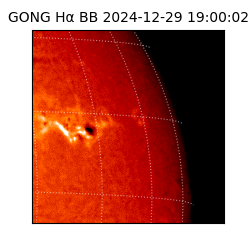 gong - 2024-12-29T19:00:02