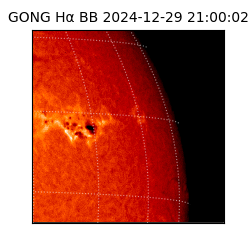 gong - 2024-12-29T21:00:02