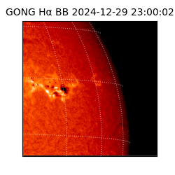 gong - 2024-12-29T23:00:02