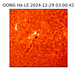 gong - 2024-12-29T03:00:42