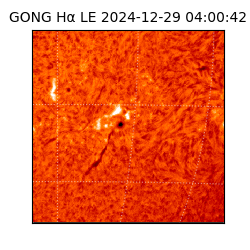 gong - 2024-12-29T04:00:42