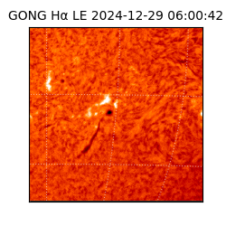 gong - 2024-12-29T06:00:42