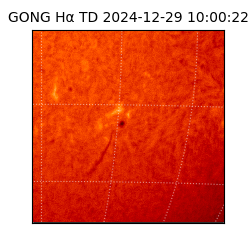 gong - 2024-12-29T10:00:22