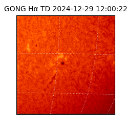 gong - 2024-12-29T12:00:22