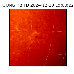 gong - 2024-12-29T15:00:22