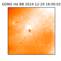 gong - 2024-12-29T16:00:02