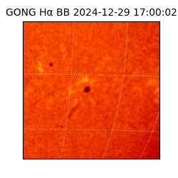 gong - 2024-12-29T17:00:02