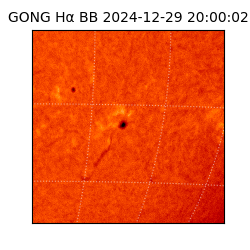 gong - 2024-12-29T20:00:02