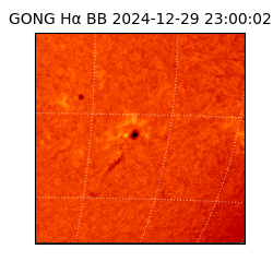 gong - 2024-12-29T23:00:02