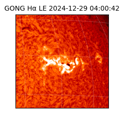 gong - 2024-12-29T04:00:42