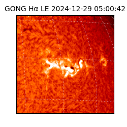 gong - 2024-12-29T05:00:42