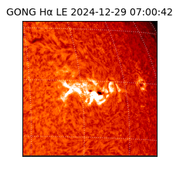 gong - 2024-12-29T07:00:42