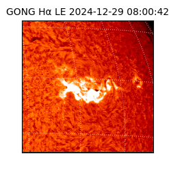 gong - 2024-12-29T08:00:42