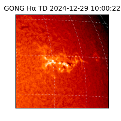 gong - 2024-12-29T10:00:22
