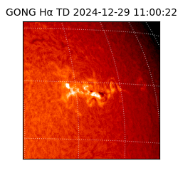 gong - 2024-12-29T11:00:22