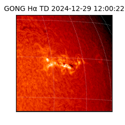 gong - 2024-12-29T12:00:22