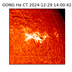 gong - 2024-12-29T14:00:42