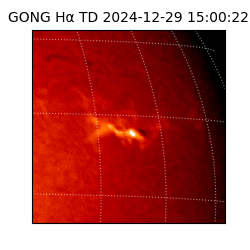 gong - 2024-12-29T15:00:22