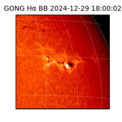 gong - 2024-12-29T18:00:02