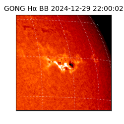 gong - 2024-12-29T22:00:02