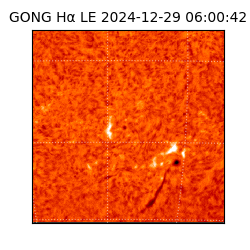gong - 2024-12-29T06:00:42