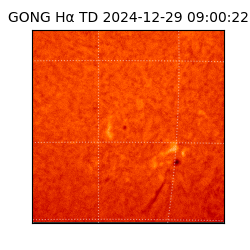 gong - 2024-12-29T09:00:22