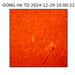 gong - 2024-12-29T10:00:22