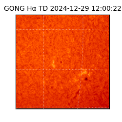 gong - 2024-12-29T12:00:22