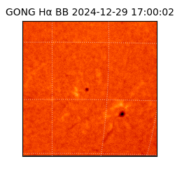 gong - 2024-12-29T17:00:02
