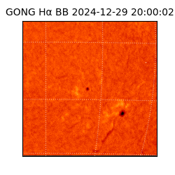 gong - 2024-12-29T20:00:02