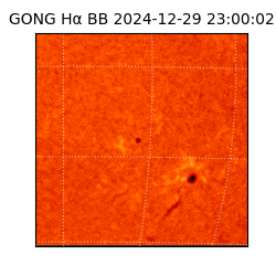 gong - 2024-12-29T23:00:02