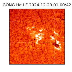 gong - 2024-12-29T01:00:42