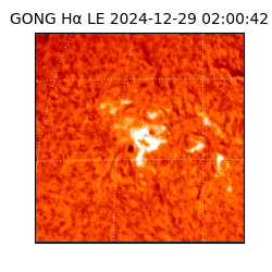 gong - 2024-12-29T02:00:42