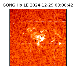 gong - 2024-12-29T03:00:42