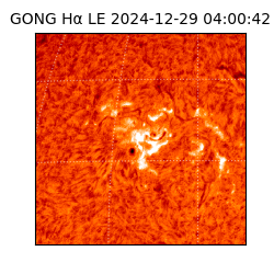 gong - 2024-12-29T04:00:42