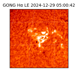 gong - 2024-12-29T05:00:42