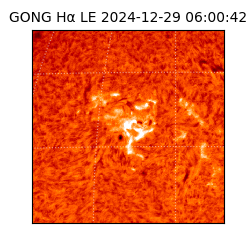 gong - 2024-12-29T06:00:42