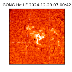 gong - 2024-12-29T07:00:42