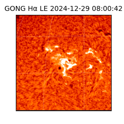 gong - 2024-12-29T08:00:42