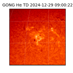gong - 2024-12-29T09:00:22