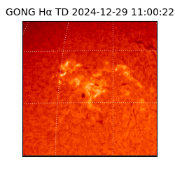 gong - 2024-12-29T11:00:22