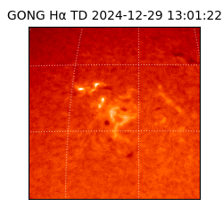 gong - 2024-12-29T13:01:22