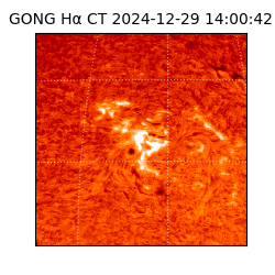 gong - 2024-12-29T14:00:42