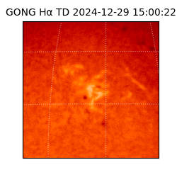 gong - 2024-12-29T15:00:22